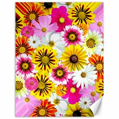 Flowers Blossom Bloom Nature Plant Canvas 12  X 16   by Amaryn4rt