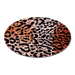 Tiger Motif Animal Oval Magnet by Amaryn4rt