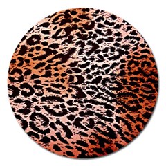 Tiger Motif Animal Magnet 5  (round) by Amaryn4rt