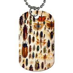 Insect Collection Dog Tag (one Side) by Nexatart