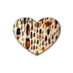 Insect Collection Heart Coaster (4 Pack)  by Nexatart