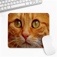 Cat Red Cute Mackerel Tiger Sweet Large Mousepads by Nexatart