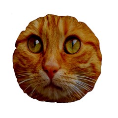 Cat Red Cute Mackerel Tiger Sweet Standard 15  Premium Flano Round Cushions by Nexatart