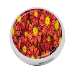 Flowers Nature Plants Autumn Affix 4-port Usb Hub (one Side) by Nexatart