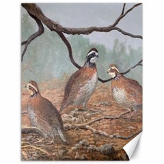 Bob White Quail Canvas 18  X 24   by digitaldivadesigns