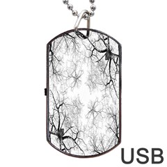 Tree Knots Bark Kaleidoscope Dog Tag Usb Flash (two Sides) by Nexatart