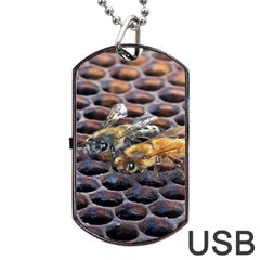 Worker Bees On Honeycomb Dog Tag Usb Flash (two Sides) by Nexatart