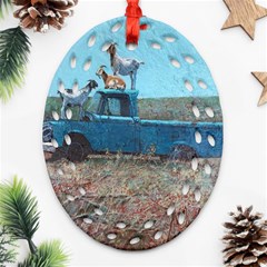 Goats On A Pickup Truck Ornament (oval Filigree) by digitaldivadesigns