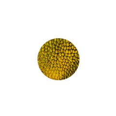 Jack Shell Jack Fruit Close 1  Mini Magnets by Amaryn4rt