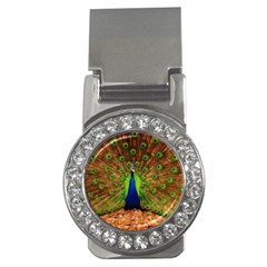 3d Peacock Bird Money Clips (cz)  by Amaryn4rt