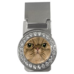 Cute Persian Cat Face In Closeup Money Clips (cz)  by Amaryn4rt