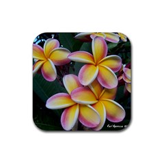 Premier Mix Flower Rubber Coaster (square)  by alohaA