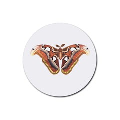 Butterfly Animal Insect Isolated Rubber Round Coaster (4 Pack)  by Simbadda