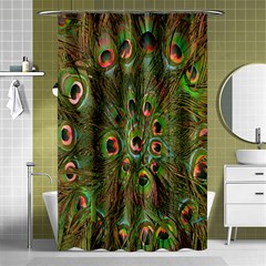 Peacock Feathers Green Background Shower Curtain 48  X 72  (small)  by Simbadda