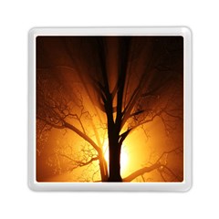 Rays Of Light Tree In Fog At Night Memory Card Reader (square)  by Amaryn4rt