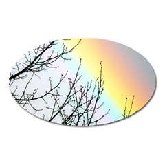 Rainbow Sky Spectrum Rainbow Colors Oval Magnet by Amaryn4rt