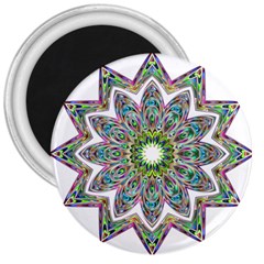 Decorative Ornamental Design 3  Magnets by Amaryn4rt