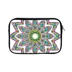 Decorative Ornamental Design Apple iPad Mini Zipper Cases Front