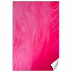 Very Pink Feather Canvas 24  X 36  by Simbadda