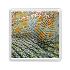 Macro Of Chameleon Skin Texture Background Memory Card Reader (square)  by Simbadda