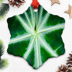 Green Leaf Macro Detail Snowflake Ornament (two Sides) by Nexatart