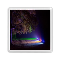 Illuminated Trees At Night Memory Card Reader (square)  by Nexatart