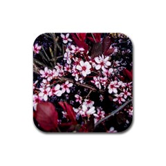 Morning Sunrise Rubber Square Coaster (4 Pack)  by dawnsiegler