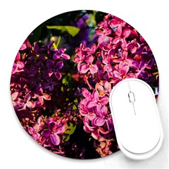 Lilacs Round Mousepads by dawnsiegler