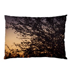 Arizona Sunset Pillow Case (two Sides) by JellyMooseBear