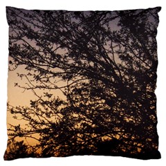 Arizona Sunset Large Cushion Case (one Side) by JellyMooseBear