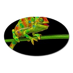 Chameleons Oval Magnet by Valentinaart