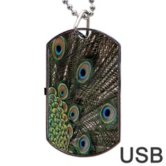 Close Up Of Peacock Feathers Dog Tag Usb Flash (two Sides) by Nexatart