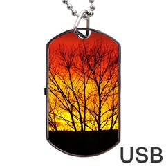 Sunset Abendstimmung Dog Tag Usb Flash (one Side) by BangZart