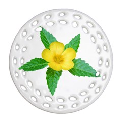 Yellow Flower With Leaves Photo Round Filigree Ornament (two Sides) by dflcprints