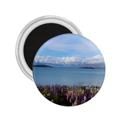 Lake Tekapo New Zealand Landscape Photography 2 25  Magnets by paulaoliveiradesign