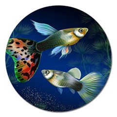 Marine Fishes Magnet 5  (round) by BangZart