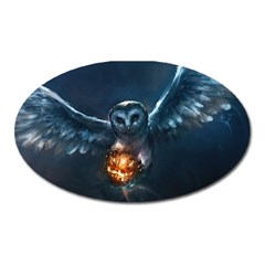 Owl And Fire Ball Oval Magnet by BangZart