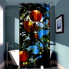 Orange Tree Shower Curtain 36  X 72  (stall)  by Valentinaart