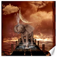 Cute Baby Elephant On A Jetty Canvas 16  X 16   by FantasyWorld7