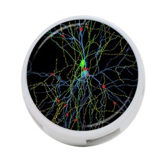 Synaptic Connections Between Pyramida Neurons And Gabaergic Interneurons Were Labeled Biotin During 4-port Usb Hub (two Sides)  by Mariart