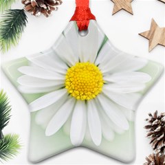 Art Daisy Flower Art Flower Deco Star Ornament (two Sides) by Nexatart