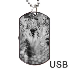 Pineapple Market Fruit Food Fresh Dog Tag Usb Flash (one Side) by Nexatart