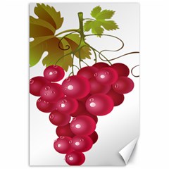 Red Fruit Grape Canvas 20  X 30   by Mariart