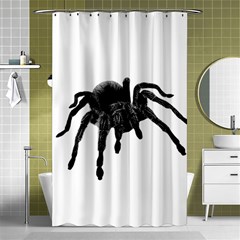 Tarantula Shower Curtain 48  X 72  (small)  by Valentinaart