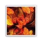 Ablaze With Beautiful Fractal Fall Colors Memory Card Reader (Square)  Front