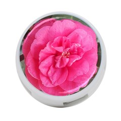 Pink Flower Japanese Tea Rose Floral Design 4-port Usb Hub (one Side) by yoursparklingshop