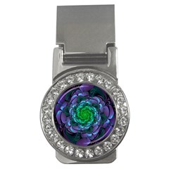 Beautiful Purple & Green Aeonium Arboreum Zwartkop Money Clips (cz)  by jayaprime