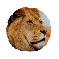 Big Male Lion Looking Right Standard 15  Premium Flano Round Cushions by Ucco