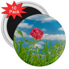 Beauty Nature Scene Photo 3  Magnets (10 Pack)  by dflcprints