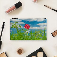 Beauty Nature Scene Photo Cosmetic Bag (small)  by dflcprints